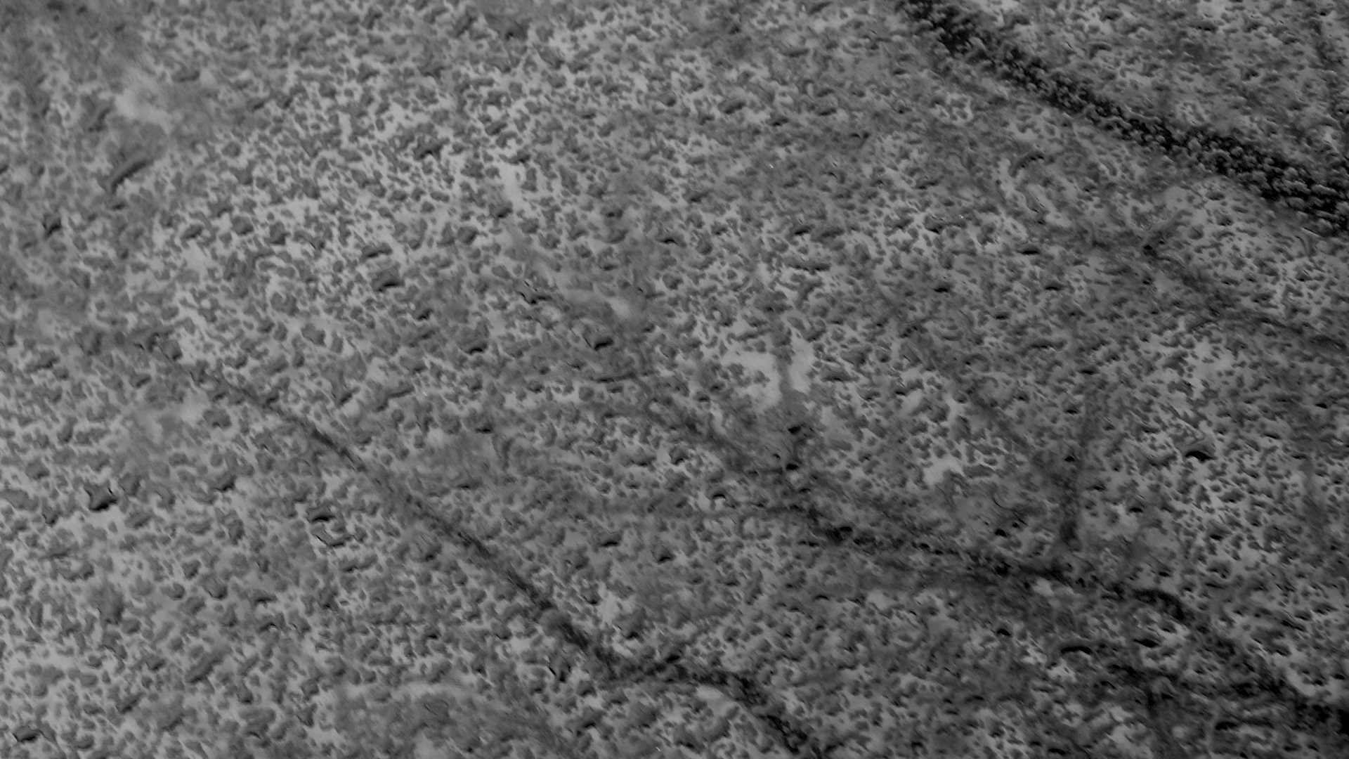 2021-01-06 - 08 Kühlgeträt (On/Off) (Remix John Cage - Empty Words IV)